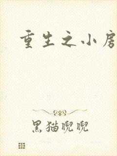 重生之小房东