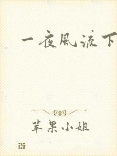 一夜风流下载