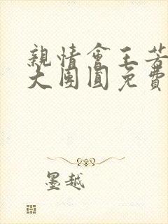 亲情会王芳高敏大团圆免费阅读