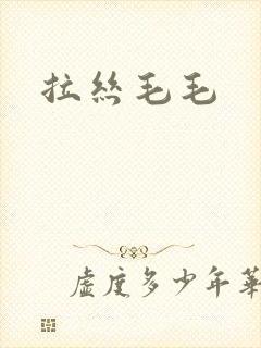 拉丝毛毛
