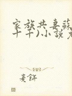 家族共妻苏苏(十千)小说免费