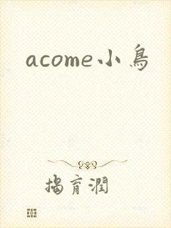 acome小鸟