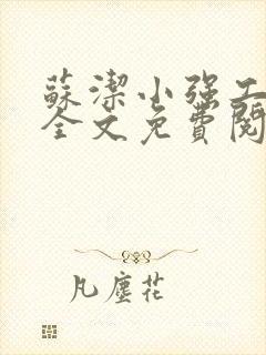 苏洁小强工地情全文免费阅读