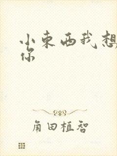 小东西我想弄坏你