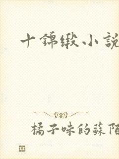 十锦缎小说