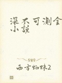 深不可测金银花小说