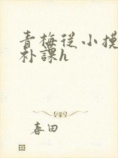 青梅从小摸到大补课h封面