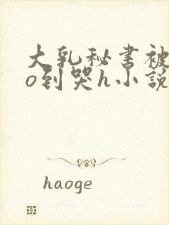 大乳秘书被cao到哭h小说