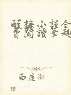 酸梅小说全文免费阅读笔趣阁