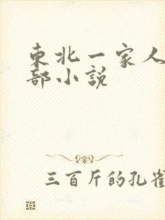东北一家人第一部小说