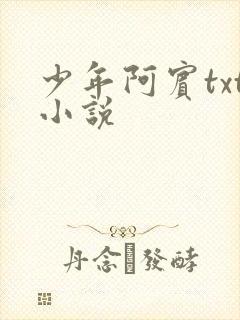 少年阿宾txt小说