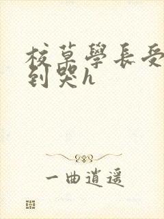 校草学长受被做到哭h