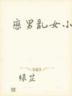 恋男乱女小说