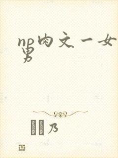 np肉文一女多男