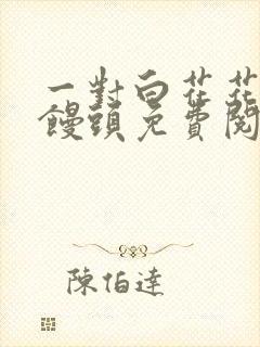 一对白花花的大馒头免费阅读