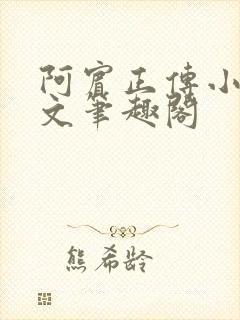 阿宾正传小说全文笔趣阁