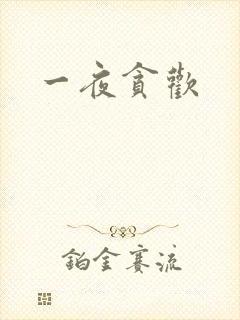 一夜贪欢