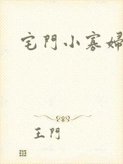 宅门小寡妇