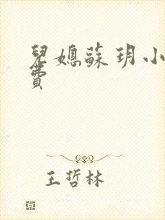 儿媳苏玥小说免费