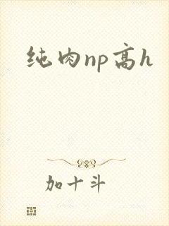 纯肉np高h