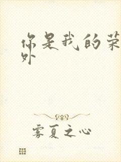 你是我的荣耀番外