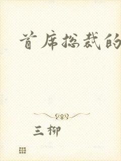 首席总裁的逃妻