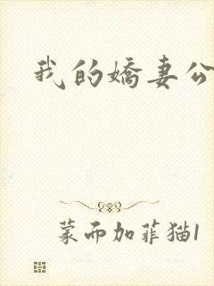 我的娇妻公务员