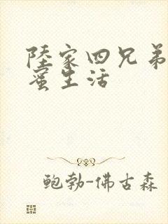 陆家四兄弟的甜蜜生活