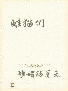 雌猫们