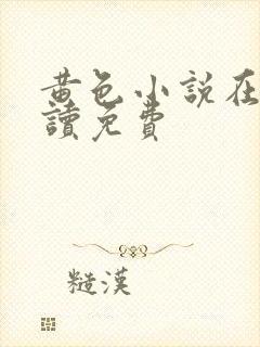 黄色小说在线阅读免费