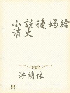 小说后妈给我消消火