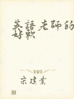 英语老师的兔子好软