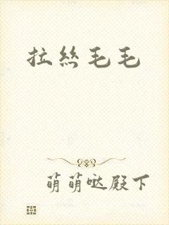 拉丝毛毛