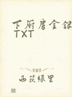 下厨房金银花露 TXT