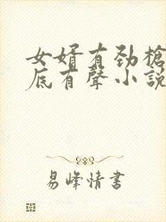 女婿有劲枪枪到底有声小说