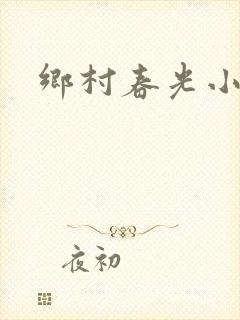 乡村春光小说