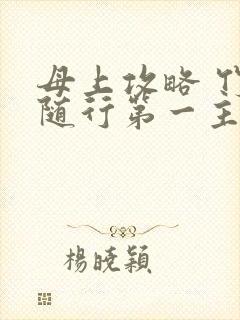 母上攻略 竹影随行第一主板