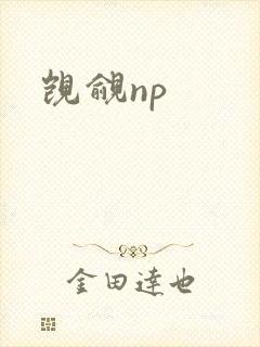 觊觎np