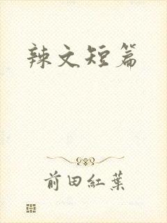 辣文短篇