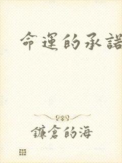 命运的承诺