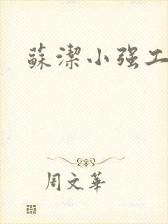 苏洁小强工地情