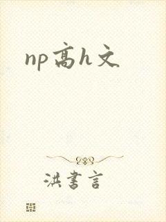 np高h文