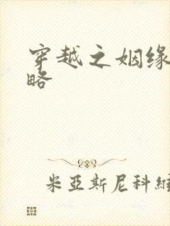 穿越之姻缘劫攻略