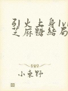 引火上身1v1芝麻糖结局