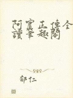 阿宾正传全文阅读笔趣阁