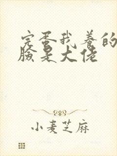 完蛋我养的小白脸是大佬