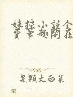 妹控小说全文免费笔趣阁在线阅读