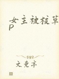 女主被校草们NP