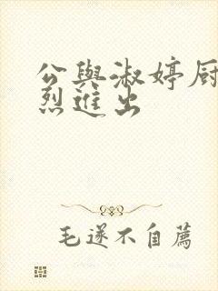 公与淑婷厨房猛烈进出