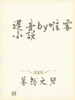 迟音by唯雾的小说